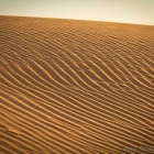 Sand, Wüste, Desert, Oman, UAE
